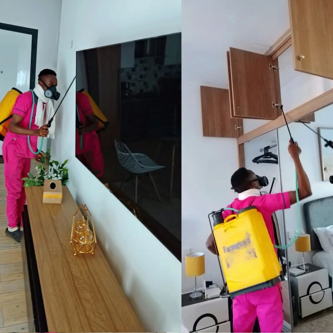 Pest Control and Fumigation services