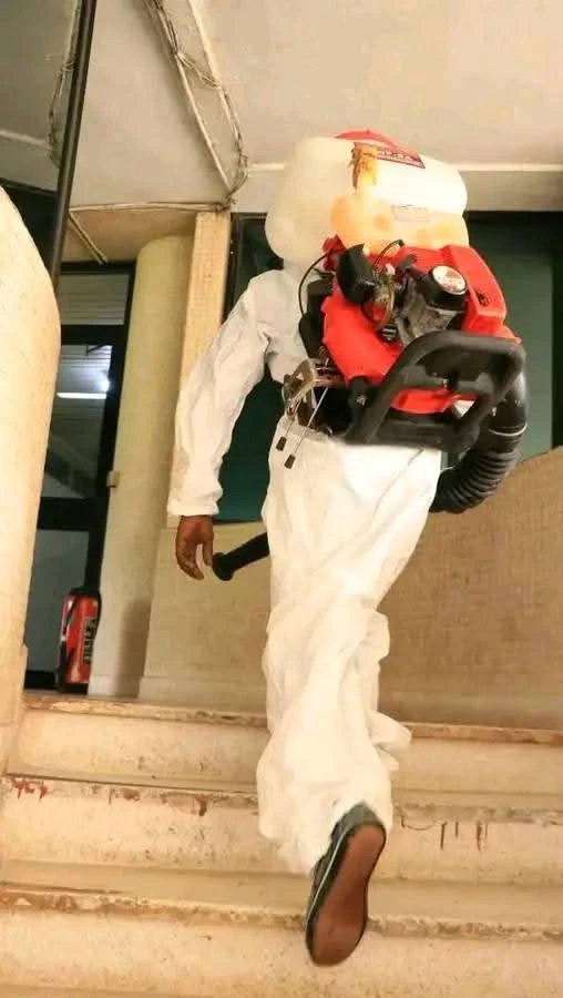 Fumigation and Pest Control services- Exterminators Zimbabwe (Pvt) Ltd